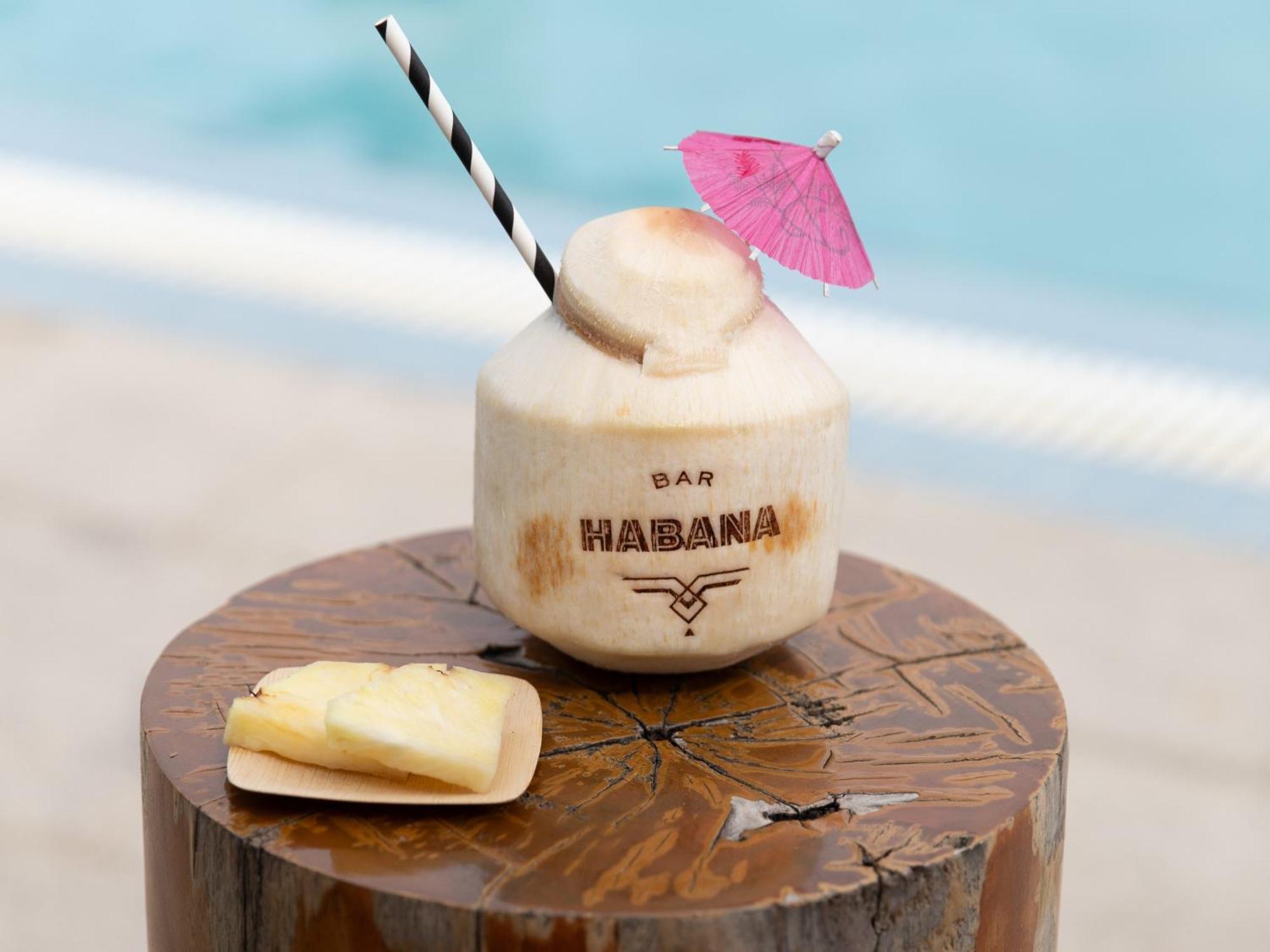 Kimpton Angler'S Hotel South Beach By Ihg Miami Beach Luaran gambar A coconut drink